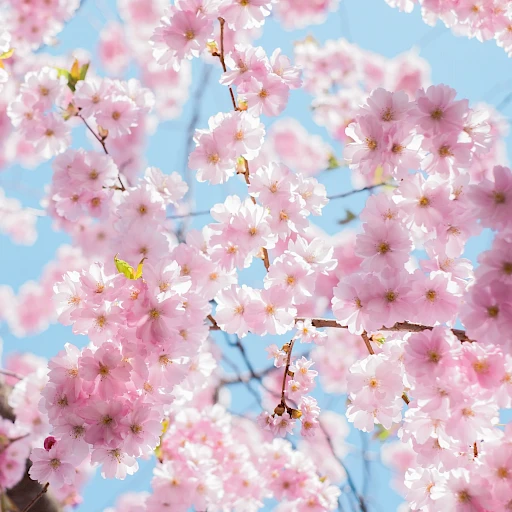 Unsere Öffnungszeiten im Frühling